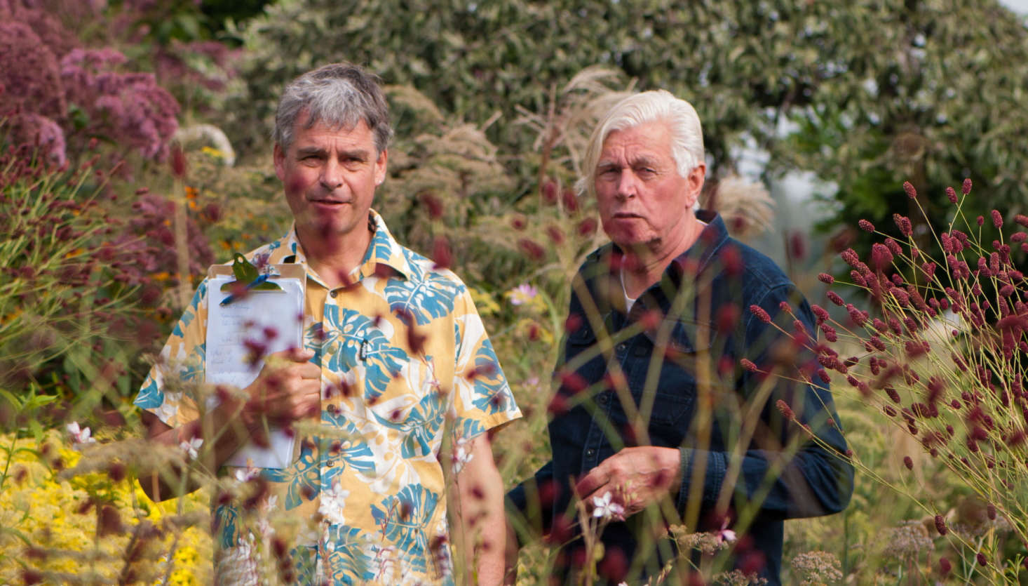 cAbove: In Planting the Piet Oudolf Way we are given a ringside seat at Hummelo at its peak in September. Kingsbury and Oudolf wander the gardens picking out key focus areas and breaking down the planting style, pinpointing why certain combinations work. There are plenty of less studious moments too, where you can be mesmerized by the exquisite beauty of Oudolf’s garden. We could happily watch a feature-length version of these videos.