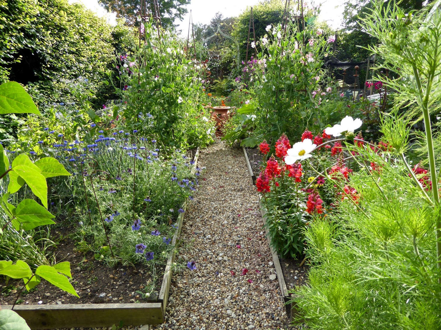 See more of this companionable plot in Behind the Hedges: Catherine Horwood’s Hidden Kitchen Garden. Photograph by Clare Coulson.