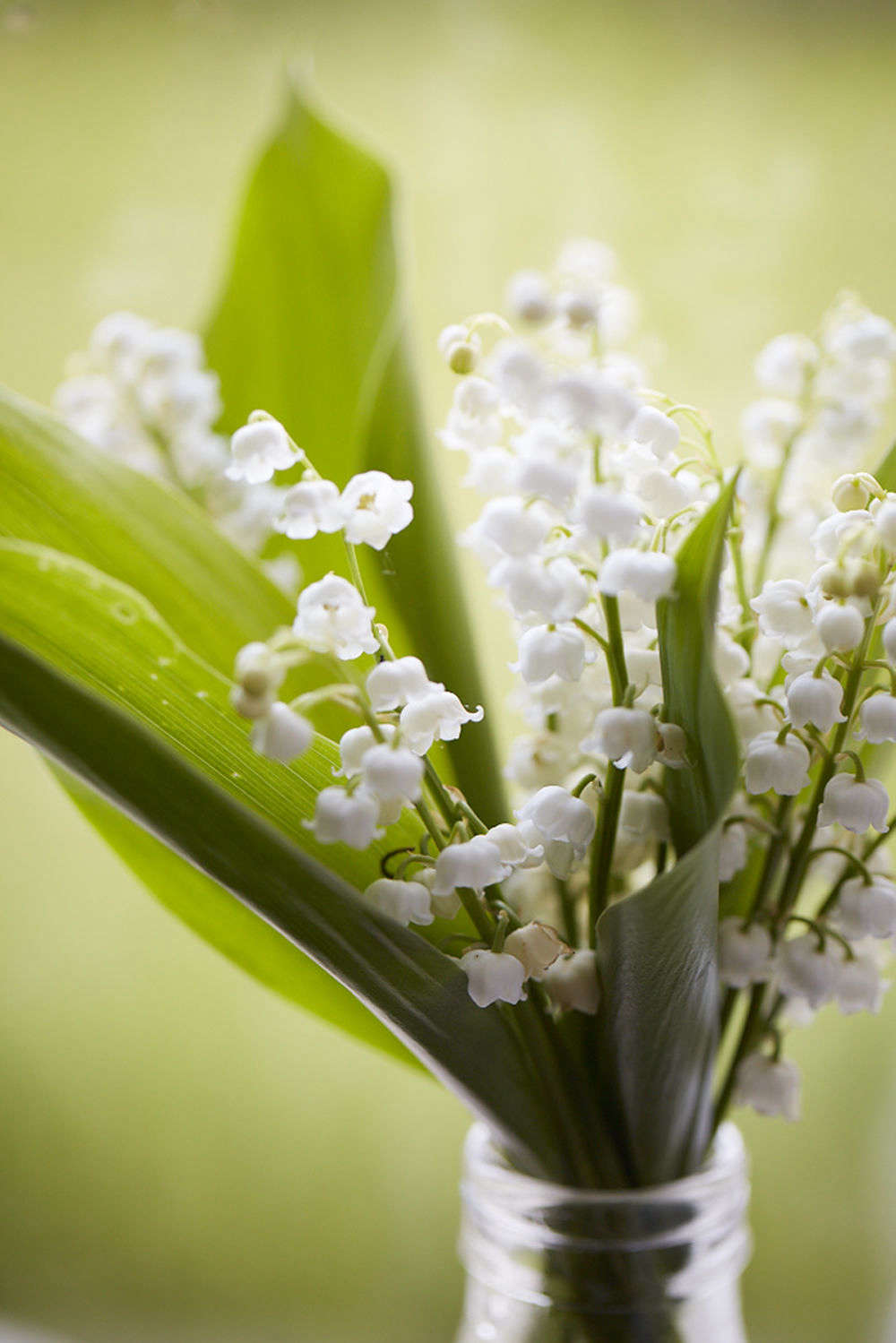 A classic spring posy.