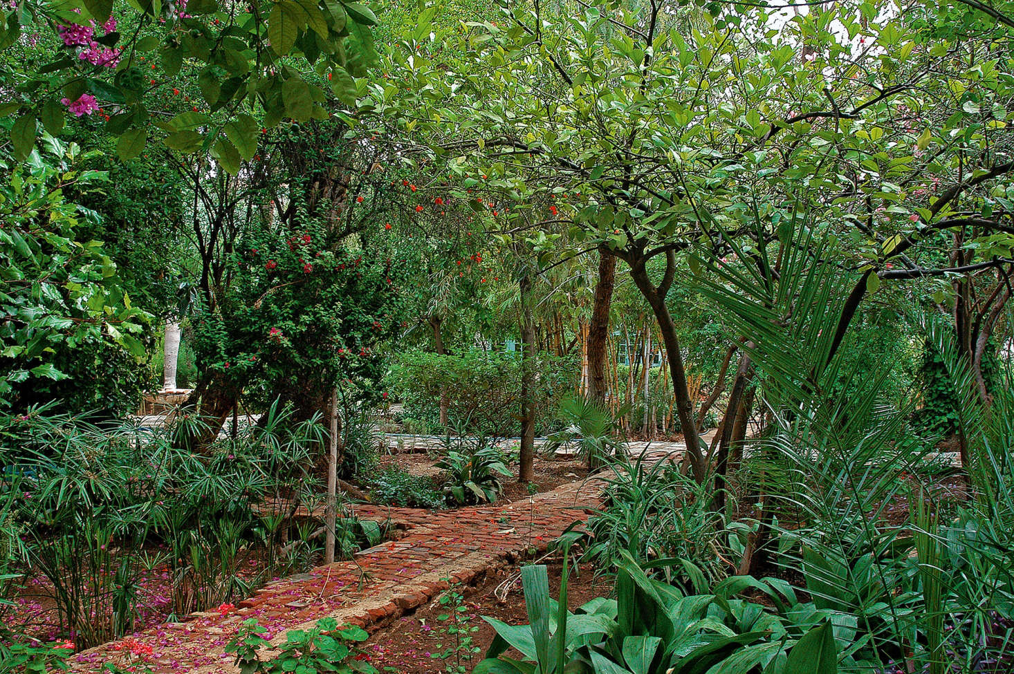 The Riad Si Moussa at the Bahia Palace is an example of gentle chaos within a formal framework.