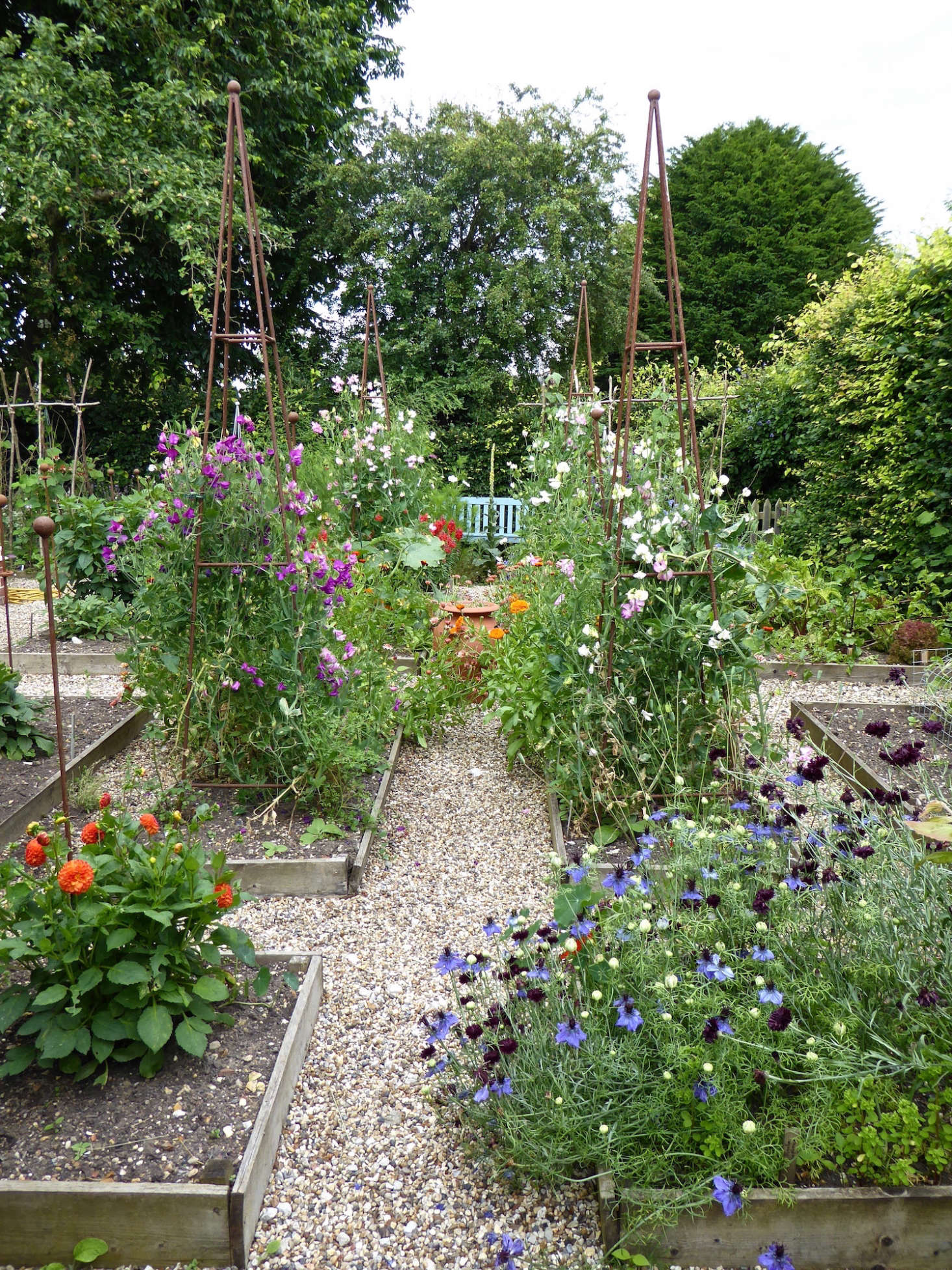 In a kitchen garden in Suffolk, England, flowers and edibles are intermingled in raised beds separated by gravel paths. See more in Behind the Hedges: Catherine Horwood’s Hidden Kitchen Garden. Photograph by Clare Coulson.