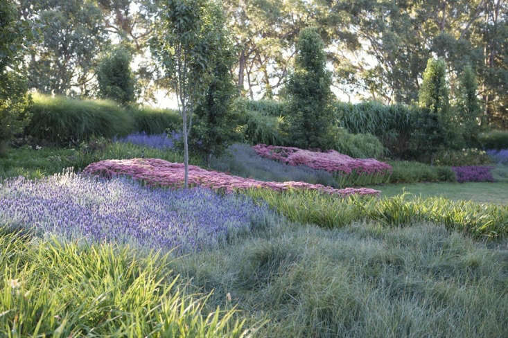 Drifts of pink Sedum &#8\2\16;Autumn Joy&#8\2\17; add romance to a garden by designer Paul Bangay. Photograph by Simon Griffiths, courtesy of Paul Bangay. For more, see \1\1 Ideas to Steal from Drought Tolerant Gardens.