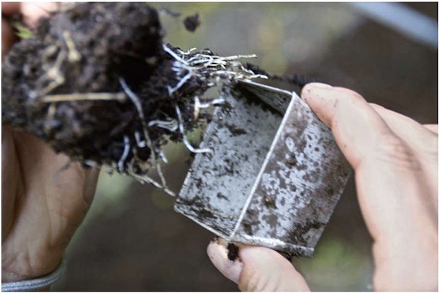 The little pots are bottomless and have sloped sides to make it easy to push out seedlings without damage to roots.