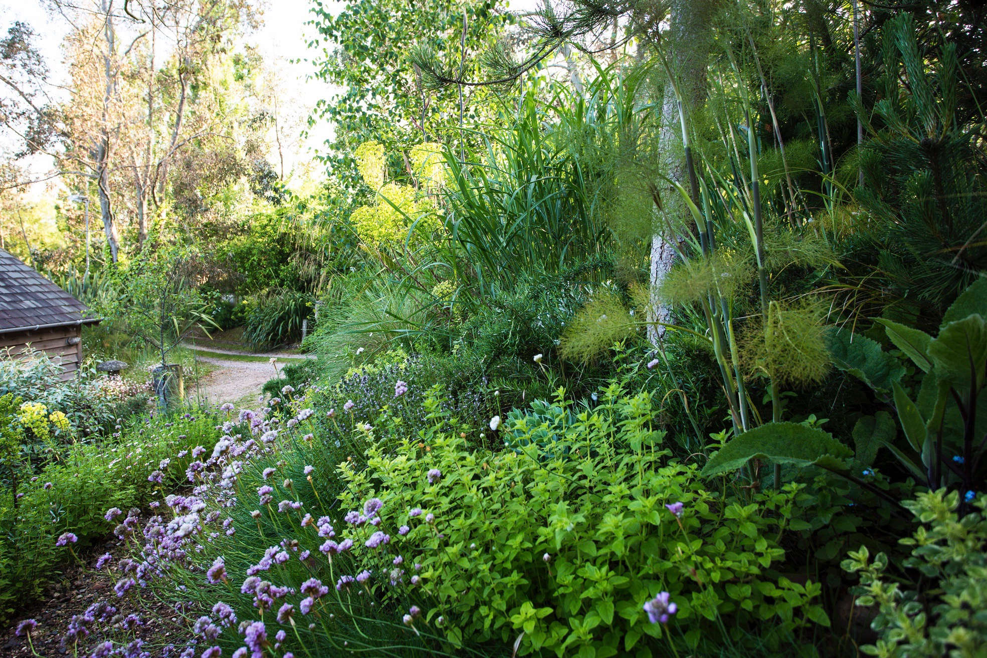 How to Deal with Windy Gardens