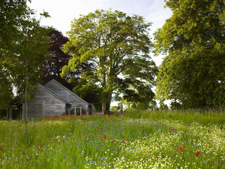  A meadow garden in the Cotswolds.