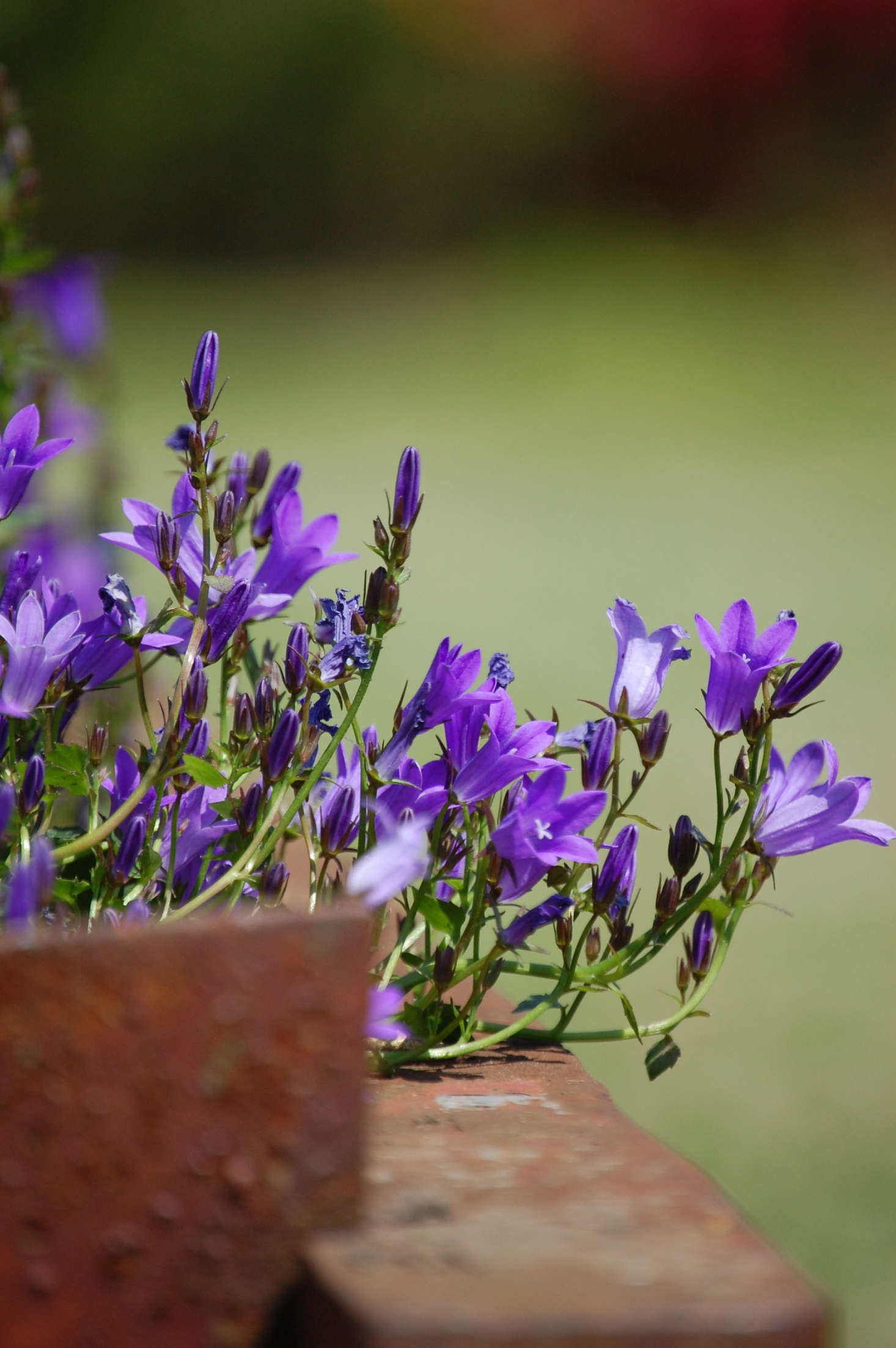 Photograph by Matthew via Flickr.