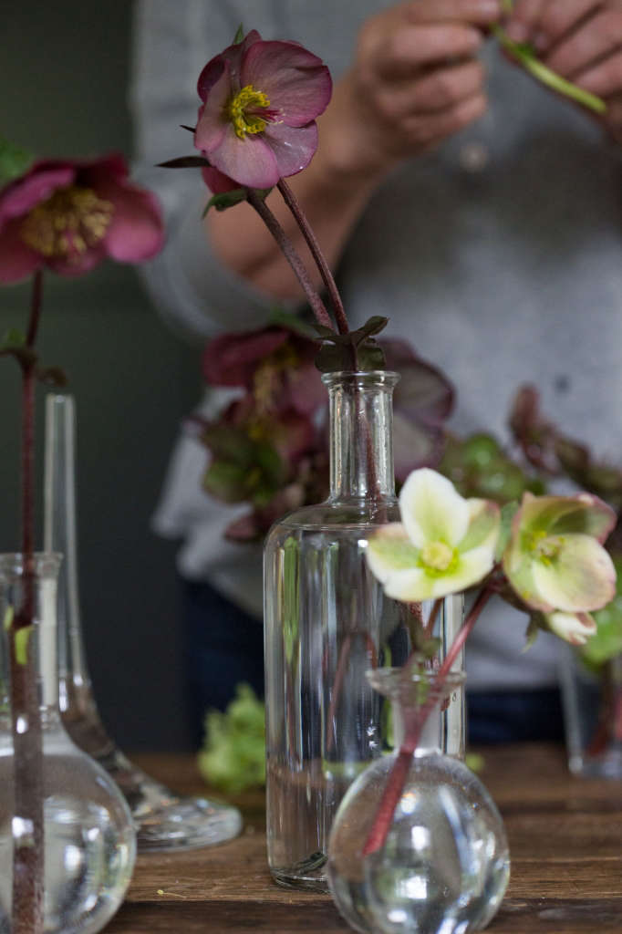 Cut Flowers How to Help Hellebores Last Longer Gardenista