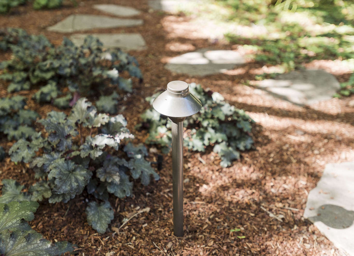 Heucheras (also known as coral bells) are popular in shade gardens; they usually last for just three to four years and will need to be replenished. Photograph by Matthew Williams for Gardenista, from Gardening data-src=