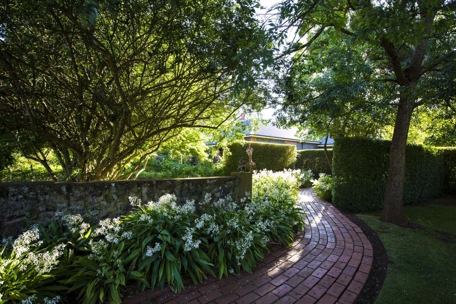 A Shady path at Lambley Nursery, Victoria, Australia.