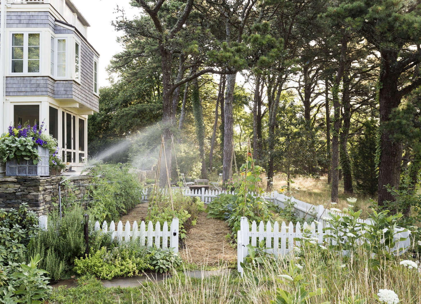 Deep watering leads to deep, healthy roots. Photograph by Matthew Williams for Gardenista: The Definitive Guide to Stylish Outdoor Spaces.