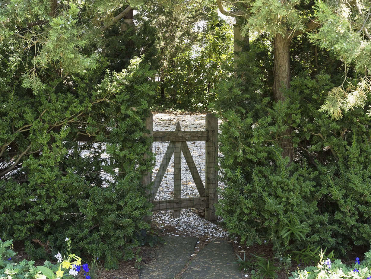 Photograph by Matthew Williams for Gardenista.