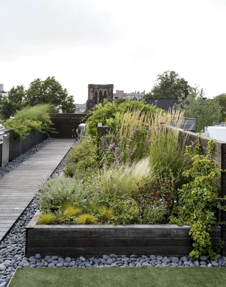 Farris says the plant palette for her meadow garden was inspired by Dutch designer Piet Oudolf&#8\2\17;s drifts of perennials on the High Line Park in Manhattan.