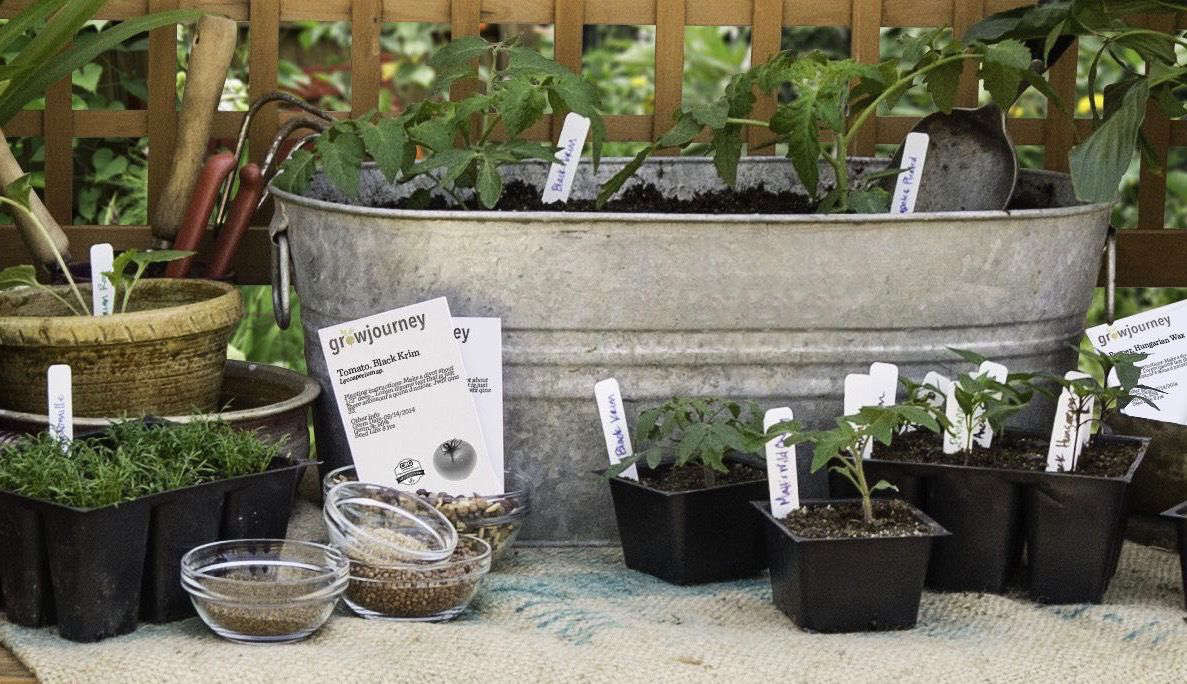 The Starter Garden SeedoftheMonth Clubs Gardenista