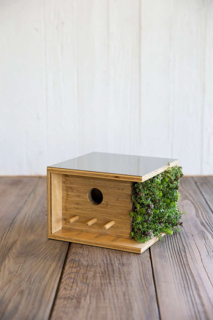 Made of bamboo plywood and laminate, a Living Wall Bauhaus Birdhouse measuring 9 by 9 by 6.5 inches has three perches and is designed to accommodate a vertical garden (succulents not included); \$\199.99.