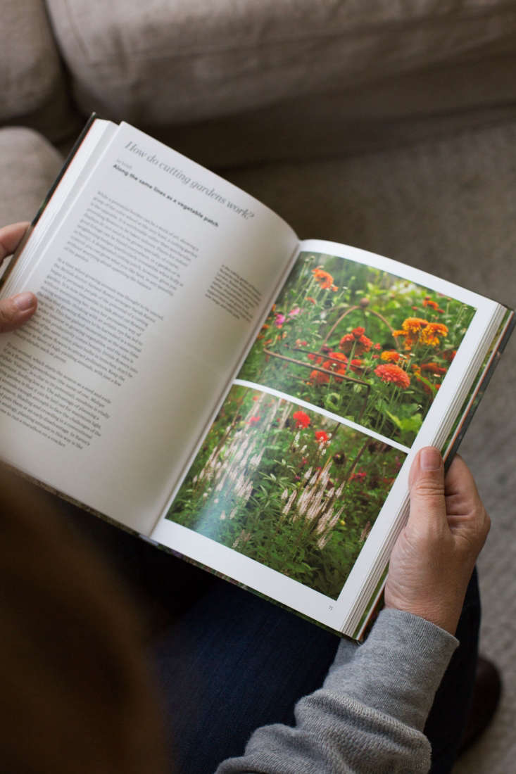 In the chapter \2\20;How do cutting gardens work?\2\2\1; Kendra explains, \2\20;A designated cutting patch gives you control: you can grow what you like best, in any quantity, without worrying about upsetting the balance of the garden.\2\2\1;