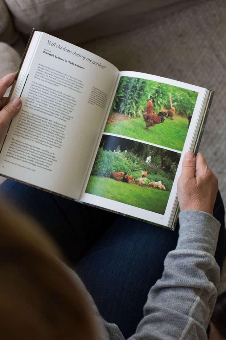 Chickens need not destroy your garden. \2\20;Start with bantams in \2\16;fluffy trousers,'\2\2\1; Kendra suggests.