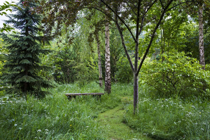 Bryan&#8\2\17;s Ground in Herefordshire. Grass, shrubs, and trees: this is a garden.