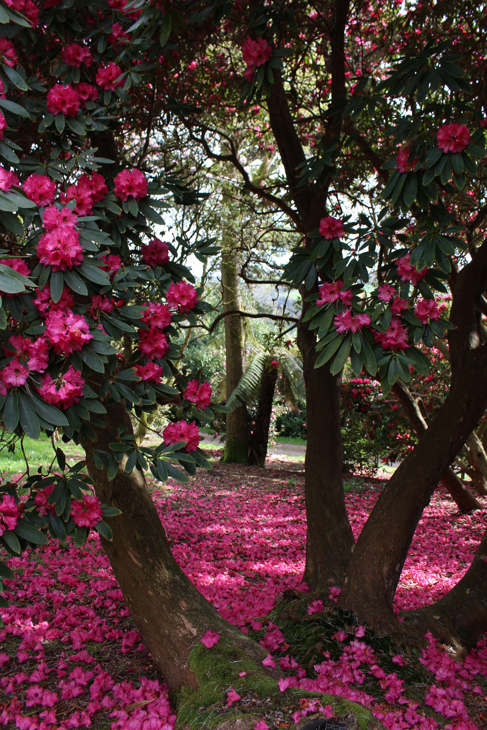 Photograph by Kendra Wilson.