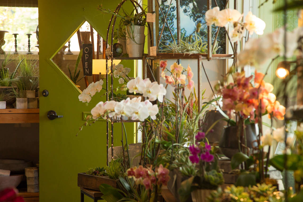 Turner, the owner of Green Door Design in Mill Valley, creates arrangements with living orchids and offers an Orchid Exchange program. After orchids go dormant, customers can trade them in. The plants go to 