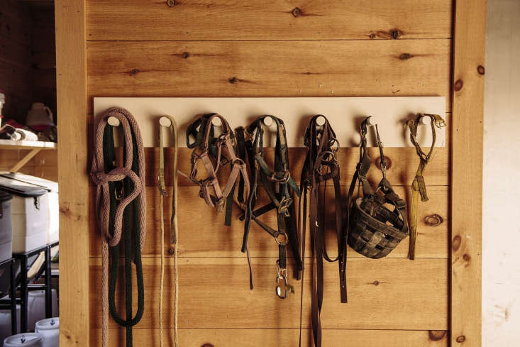 Livestock accoutrements hang on a painted peg rail.