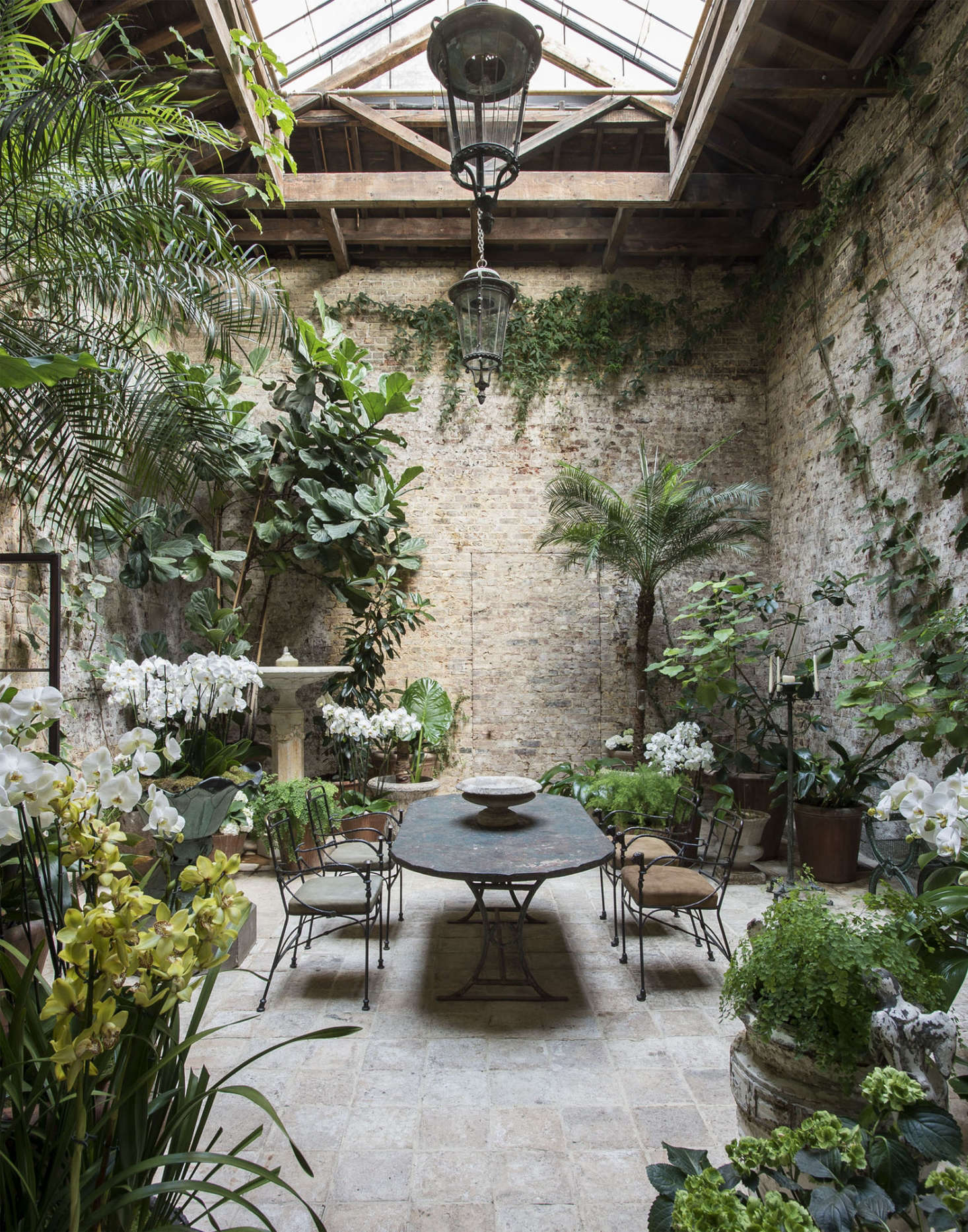 Among the Orchids: Designer Rose Uniacke at Home in London. Photograph by Matthew Williams for Gardenista.