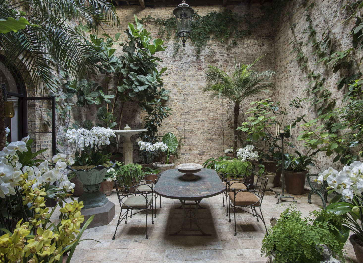 In her London conservatory, designer Rose Uniacke