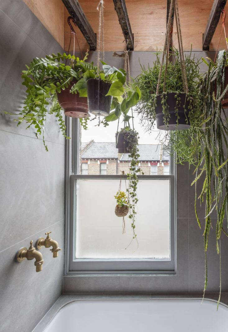 This bathroom has a calming, rainforest-y feel thanks to a mass of hanging plants overhead. Find more reasons to bring plants indoors in \10 Compelling Reasons to Bring the Outdoors In. Photograph by Nicholas Worley, courtesy of Simon Astridge Architecture Workshop.