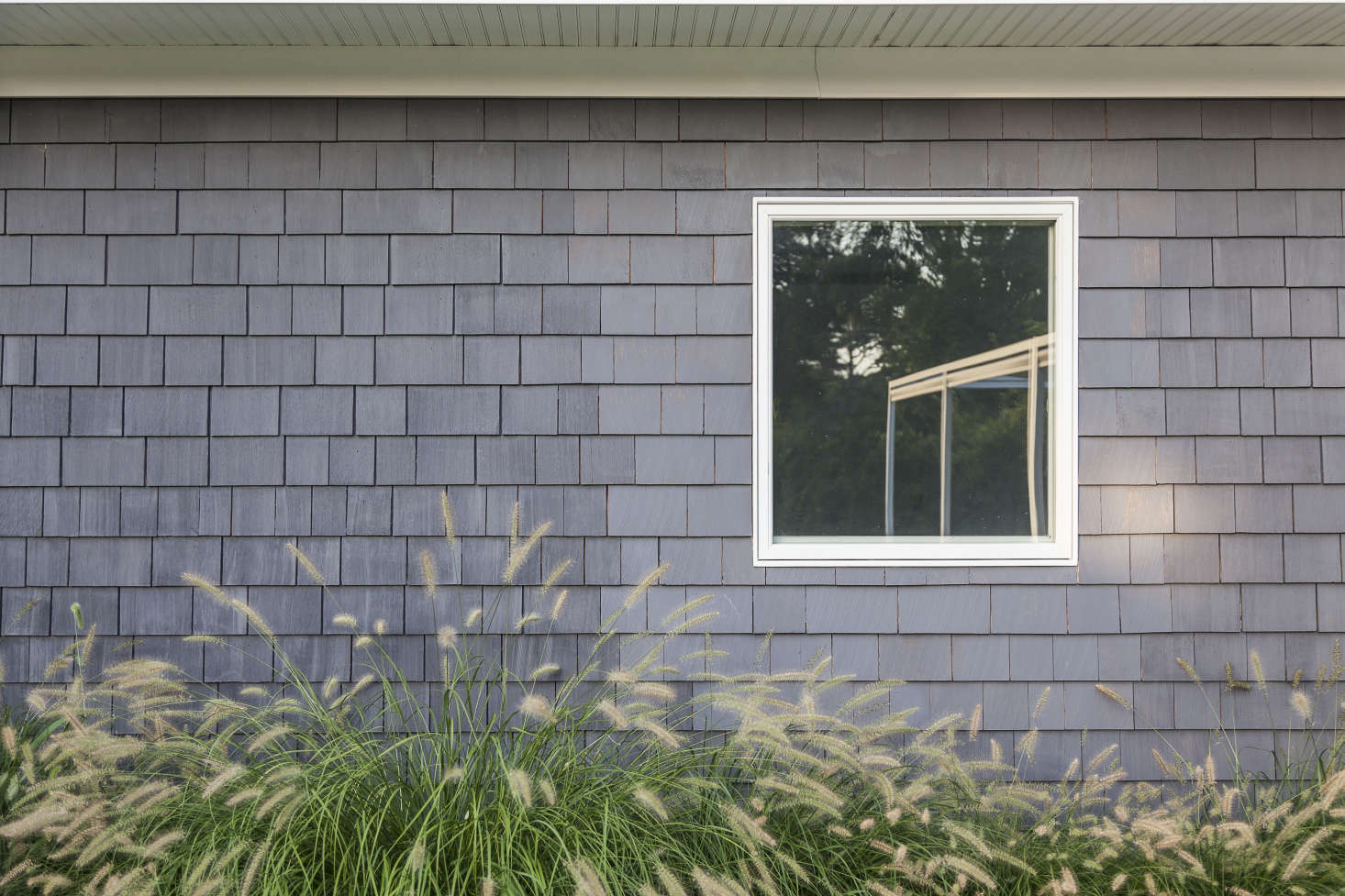 Sea grasses soften the edges of the house.