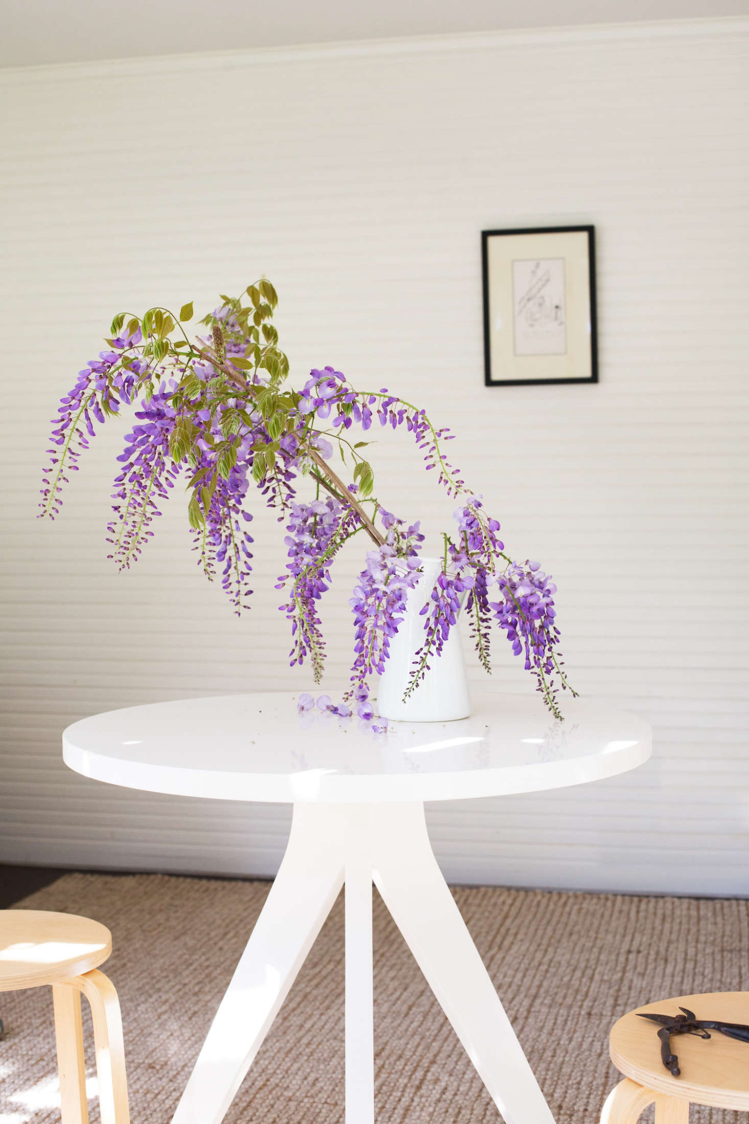 For more, see Mysterious Wisteria: An Irresistible Flower Goes from Vine to Vase. Photograph by Mimi Giboin.