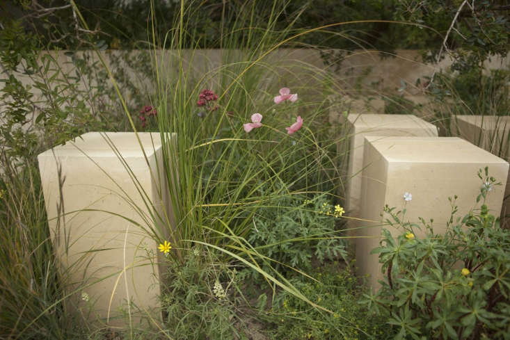 The euphorbia to the right is Euphorbia melitensis, one of several plants in this garden that is unique to Malta.