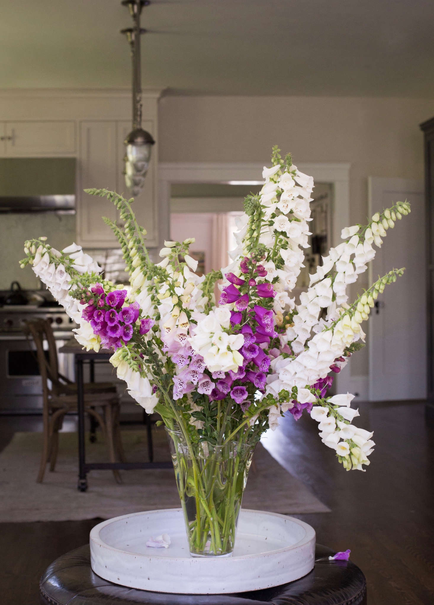 As cut flowers go, foxgloves are heavy drinkers. I