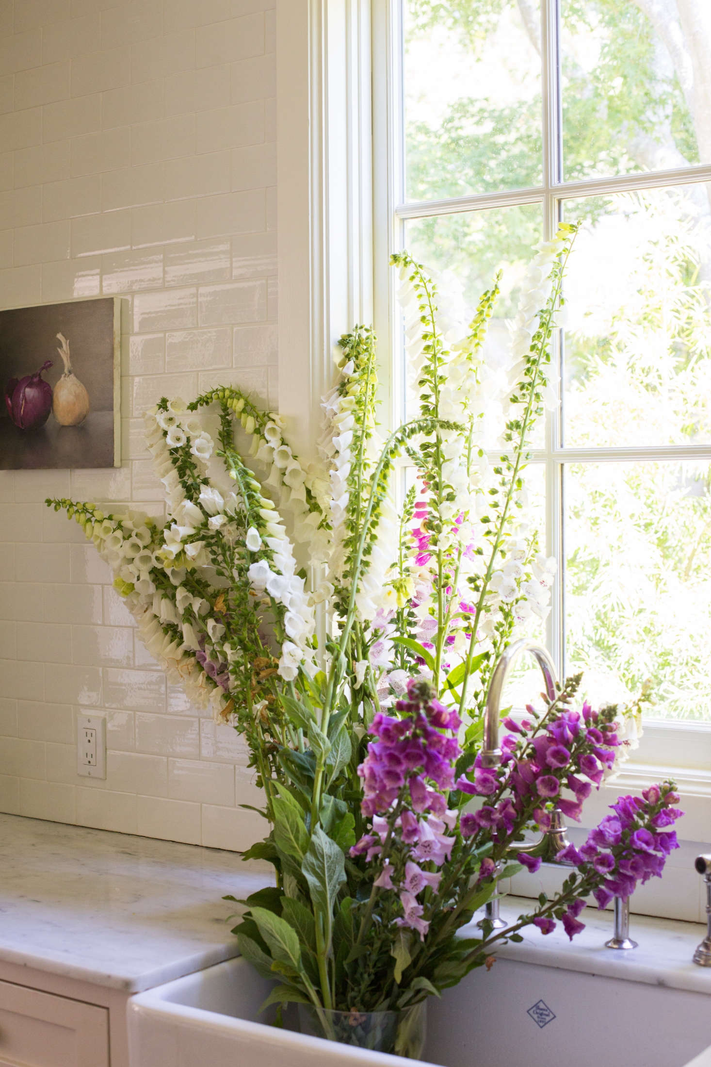I cut an armload of flowering foxgloves, clipping the stems at the base of the plant.