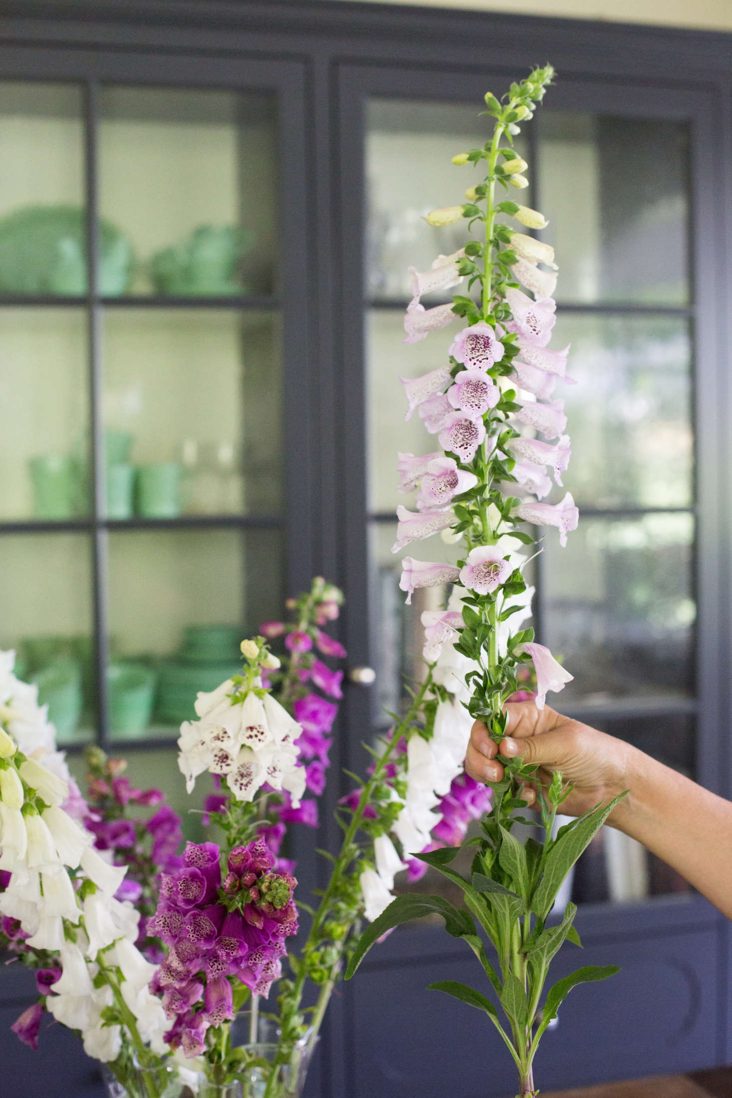 When you arrange cut flowers, the first step is to strip off the leaves from the bottom third of the stem. In a vase, you don