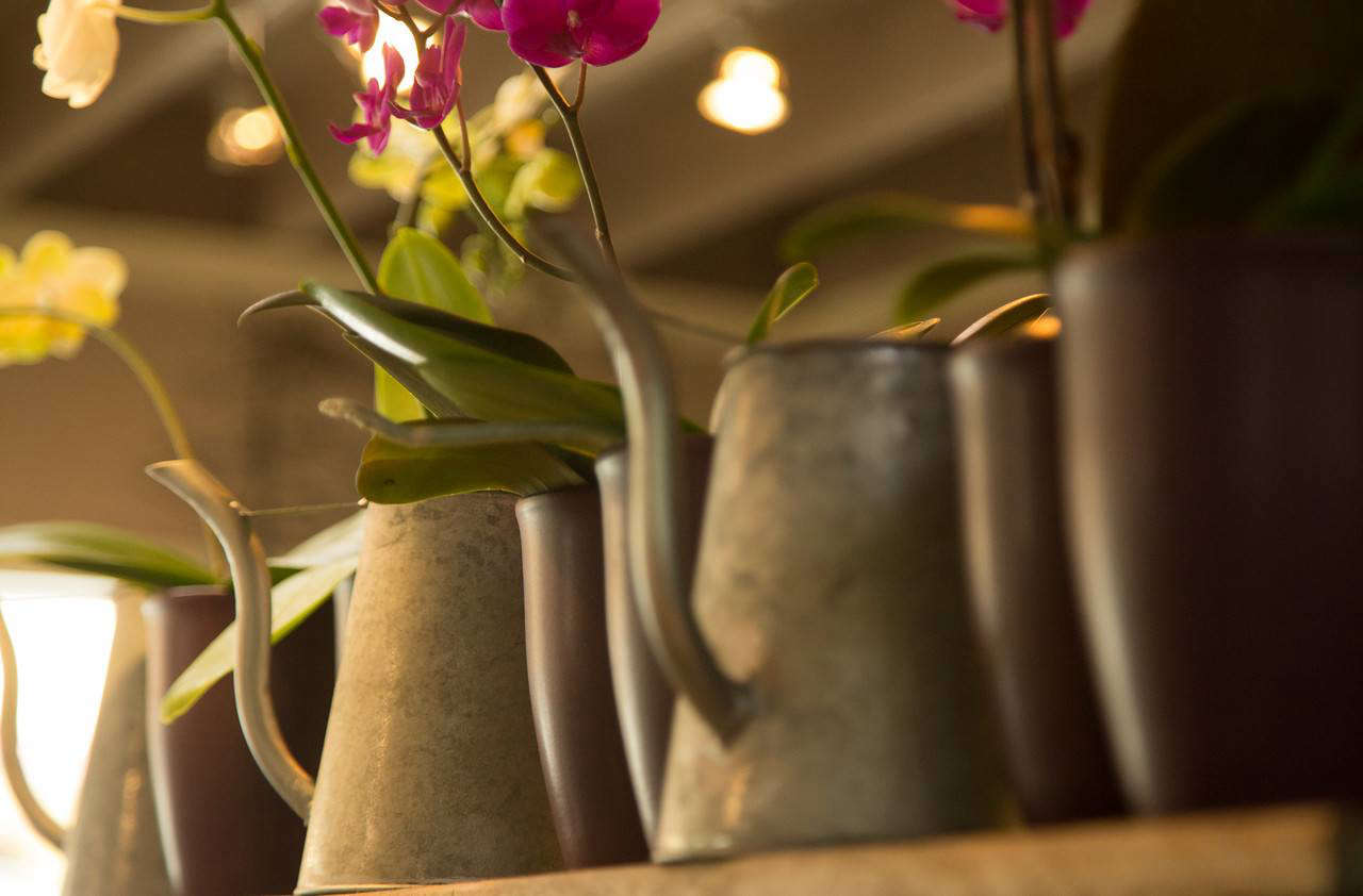 A collection of galvanized watering cans for sale at Green Door Design. 