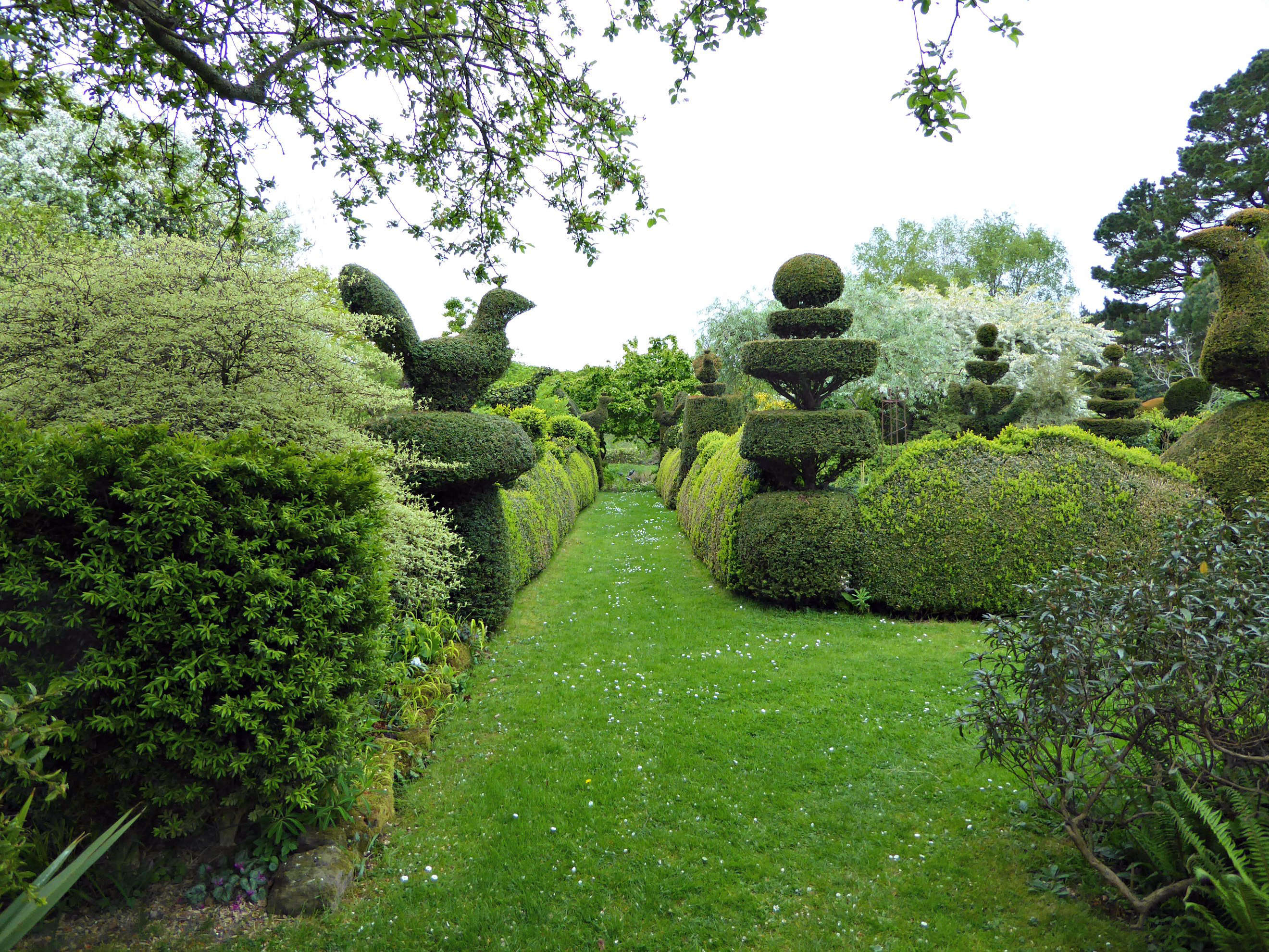 Garden Visit: Charlotte Molesworth’s Topiary Garden at Balmoral Cottage