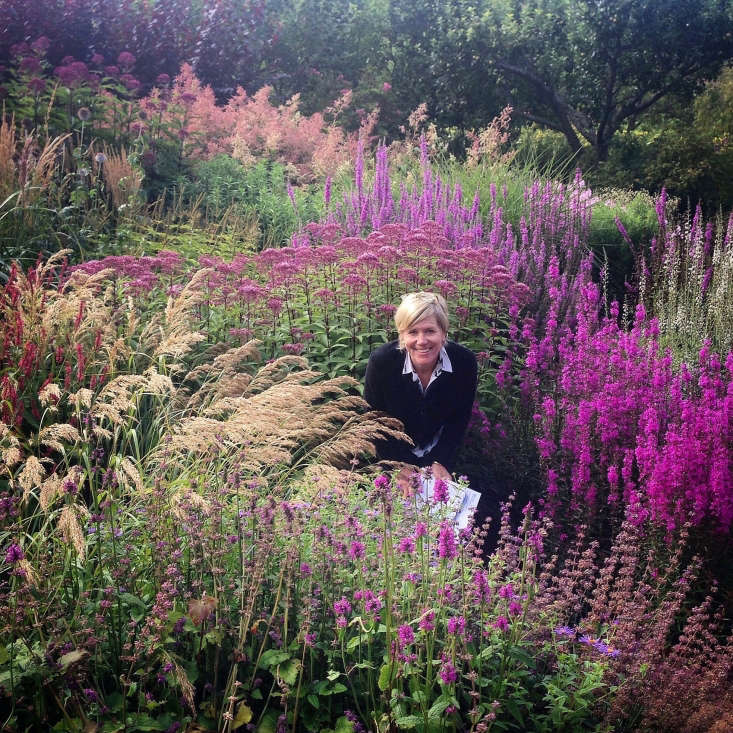 Here I am taking notes on an earlier visit to Cambo in August, surrounded by Lythrum &#8\2\16;Dropmore Purple&#8\2\17;, Stachys &#8\2\16;Hummelo&#8\2\17;, Calamagrostis bracytricha, Eupatorium &#8\2\16;Phantom&#8\2\17;, and Filipendula rubra.