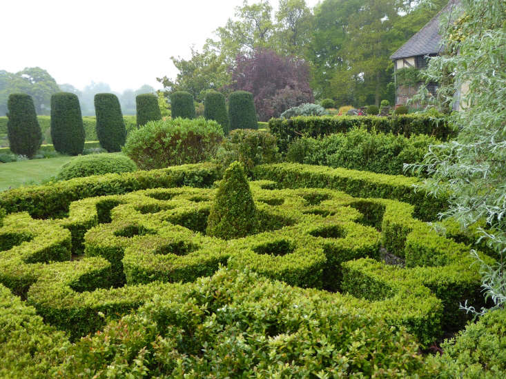 The knot garden, planted with boxwood.