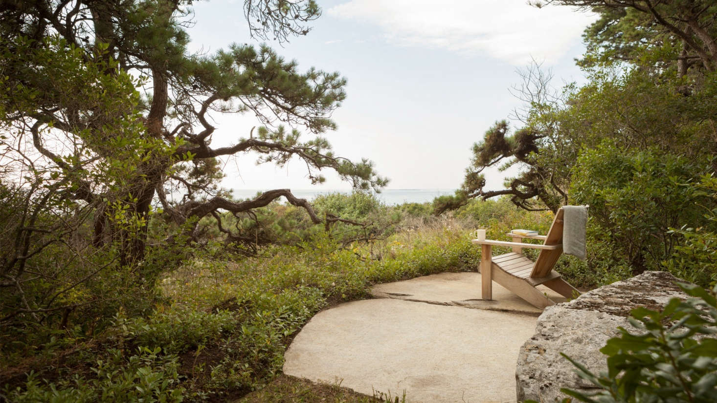 The Pine Tree State has plenty of the hardy, scraggly trees, even along the coast, where they smell good mixed with the salt air. See more in The Ultimate Indoor-Outdoor House on 36 Acres in Coastal Maine.