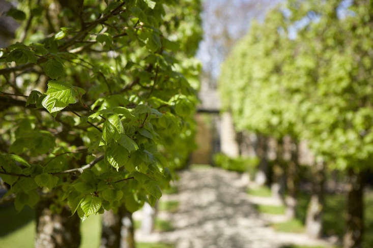 The circuitous walk returns to the formal gardens, but there is more.