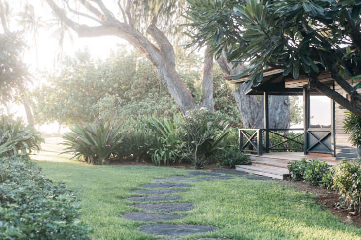 A wide stone path leads from the Beach Cottage through the garden. All of the plants on the property are commonly found in Hawaii; though they look like they&#8\2\17;ve been there forever, all except the towering monkeypod trees and coconut palms were planted by the owners.