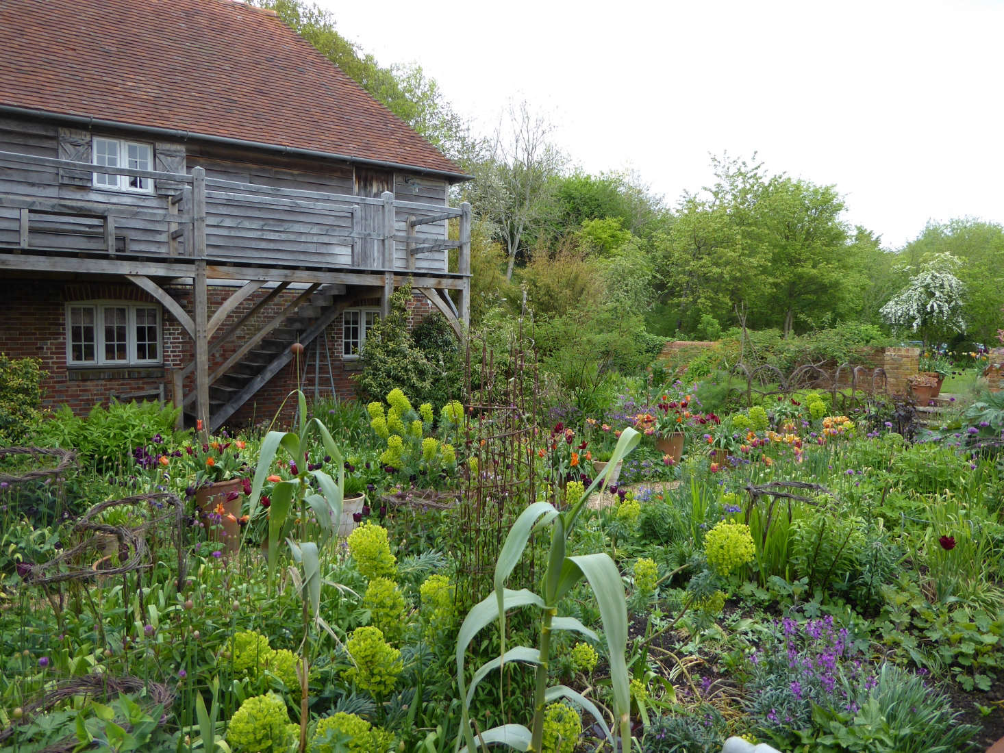 Container Gardening Sarah Raven’s 7 Tips for Perfect Flower Pots Gardenista