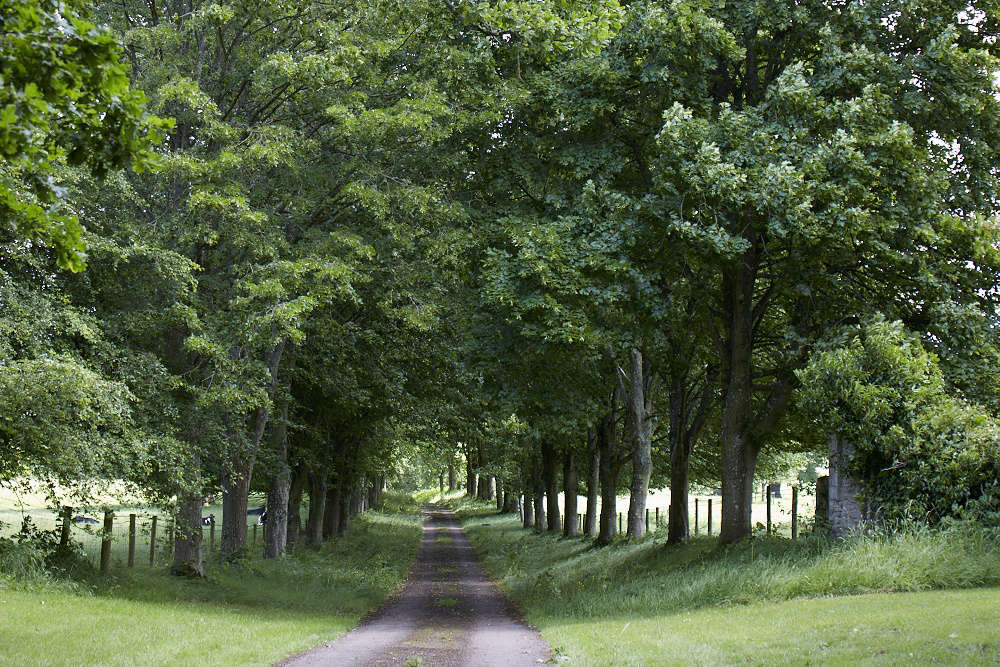 The parkland was originally designed in the th century by Edward Milner, who was apprenticed to Joseph Paxton and assisted him in creating other grand estates including Tatton Park in Cheshire and the erection of London’s Crystal Palace.