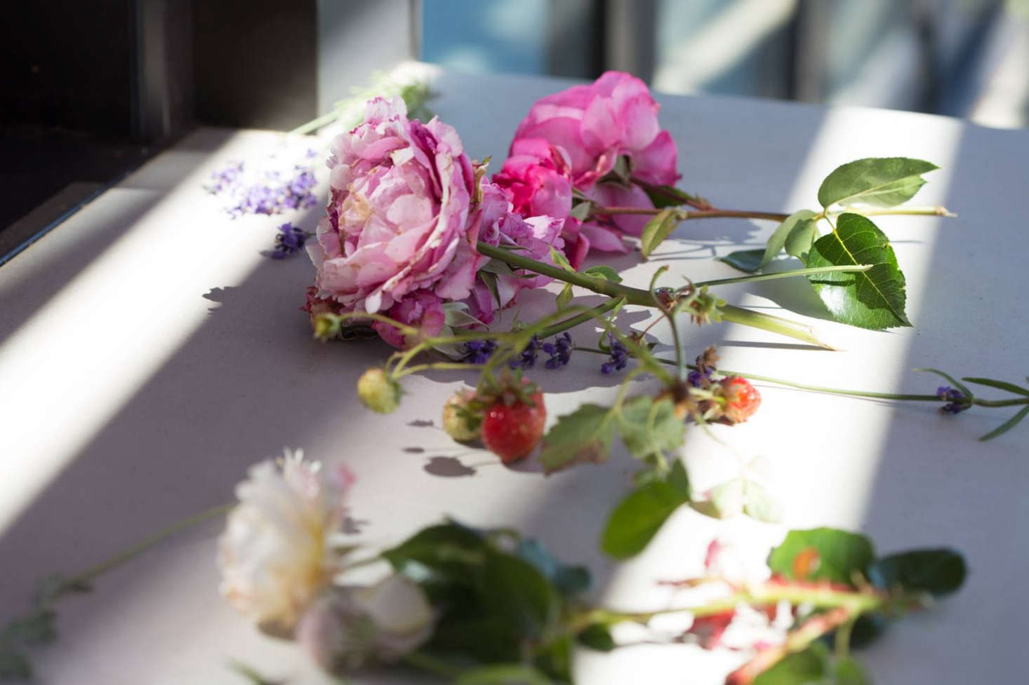 Photograph by Mimi Giboin for Gardenista.