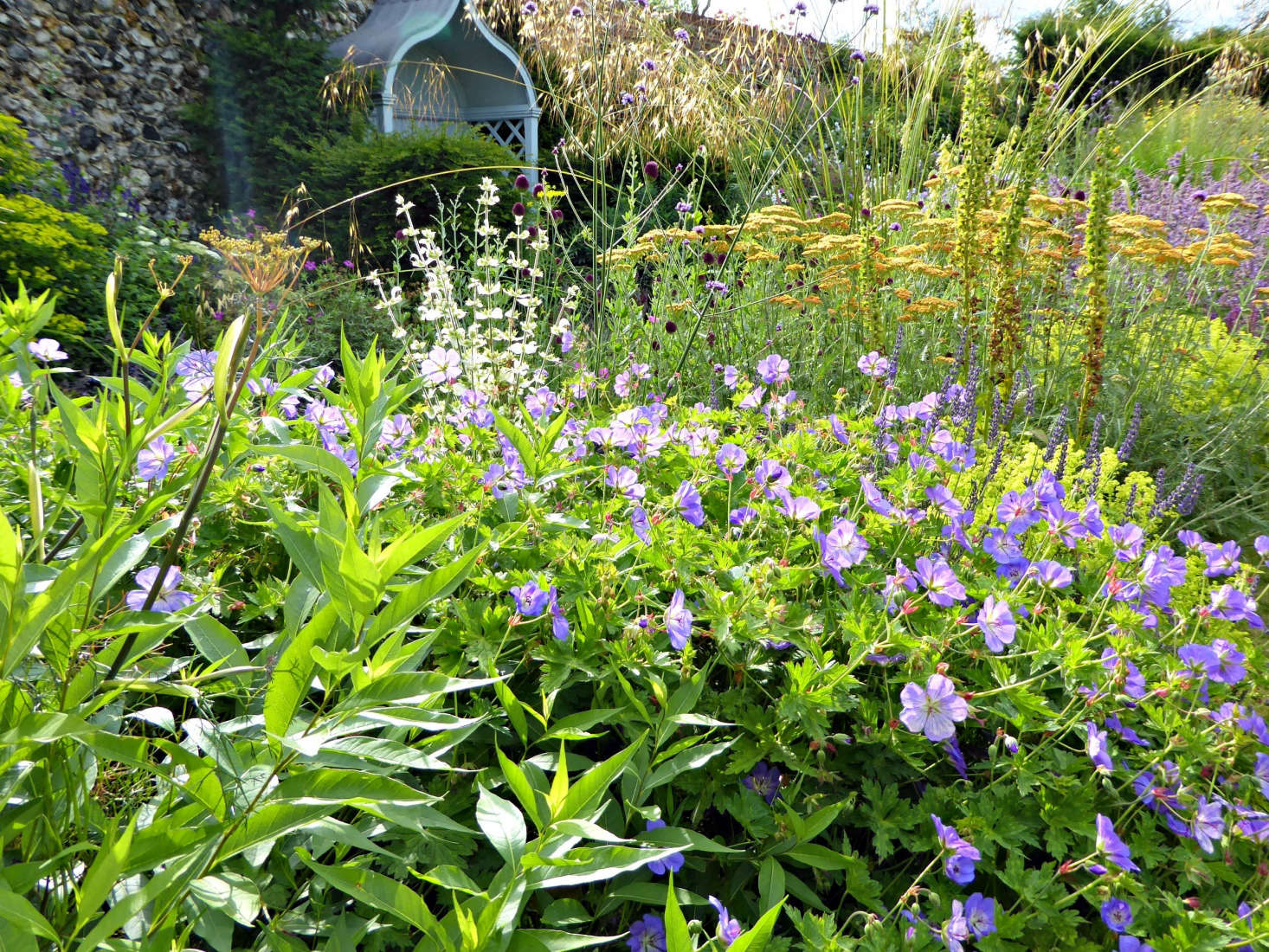 Tall spires and airy grasses contrast with good moun- forming perennials such as Geranium 