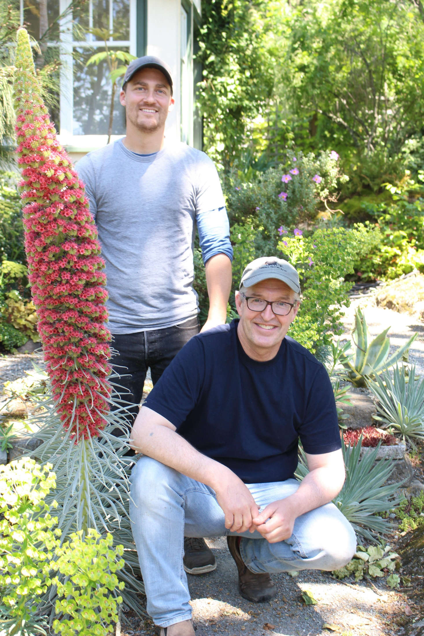 Steve Ansell (at left) helps Smyth in the garden one day a week. Smyth pictured here with Echium wildpretti.