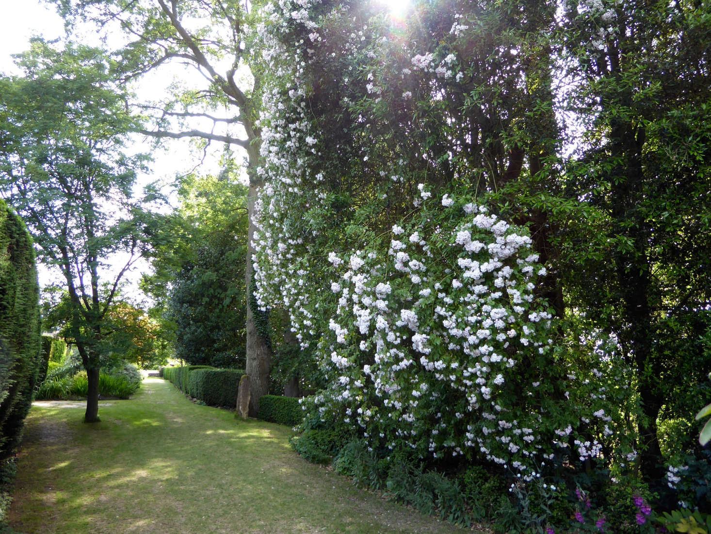 R. 