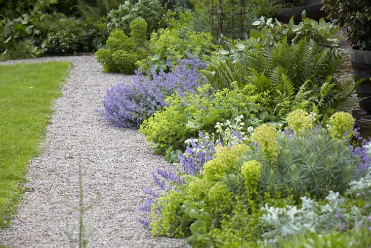 A gravel path&#8\2\17;s edge is softened by planting that spill over into the walkway: ferns, euphorbia, and alchemilla. Photograph by Britt Willoughby Dyer. For more of this landscape, see Old-Lands: A Modern Welsh Garden, from a Bygone Age.