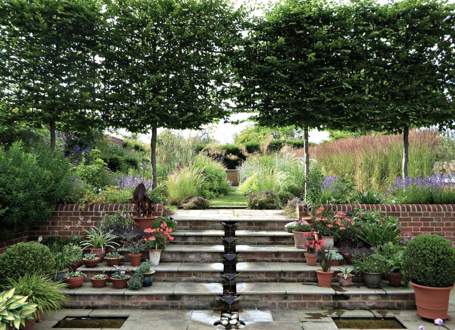 The garden is on a much higher level than the house so Catherine has made a feature of that with a row of pleached hornbeams and an area for all her sun-loving pots.