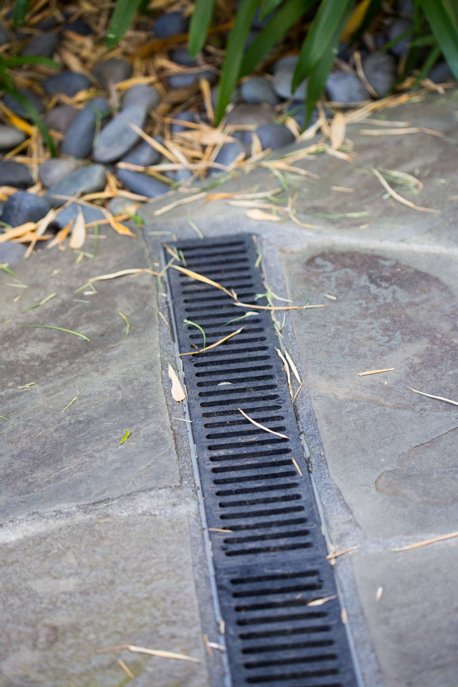 On their gently sloped property, the Sterns installed a French drain system and drainage to divert water from the house.