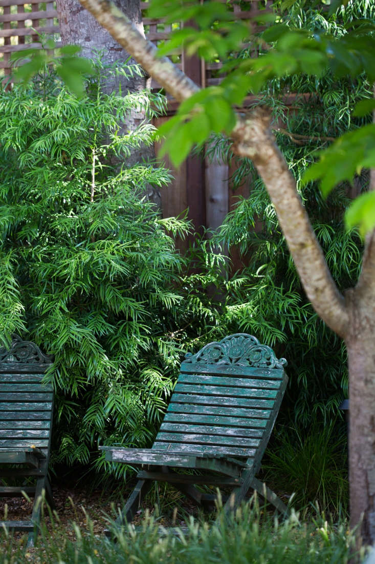 Two wooden folding chairs Greg had made while living in Indonesia sit in a shady spot in a back corner of the garden, the former site of the treehouse.